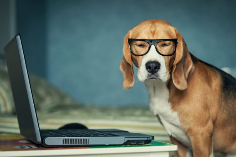 7 Tipps für Shop-Betreiber: So bauen Sie Ihren E-Mail-Verteiler für Newsletter auf